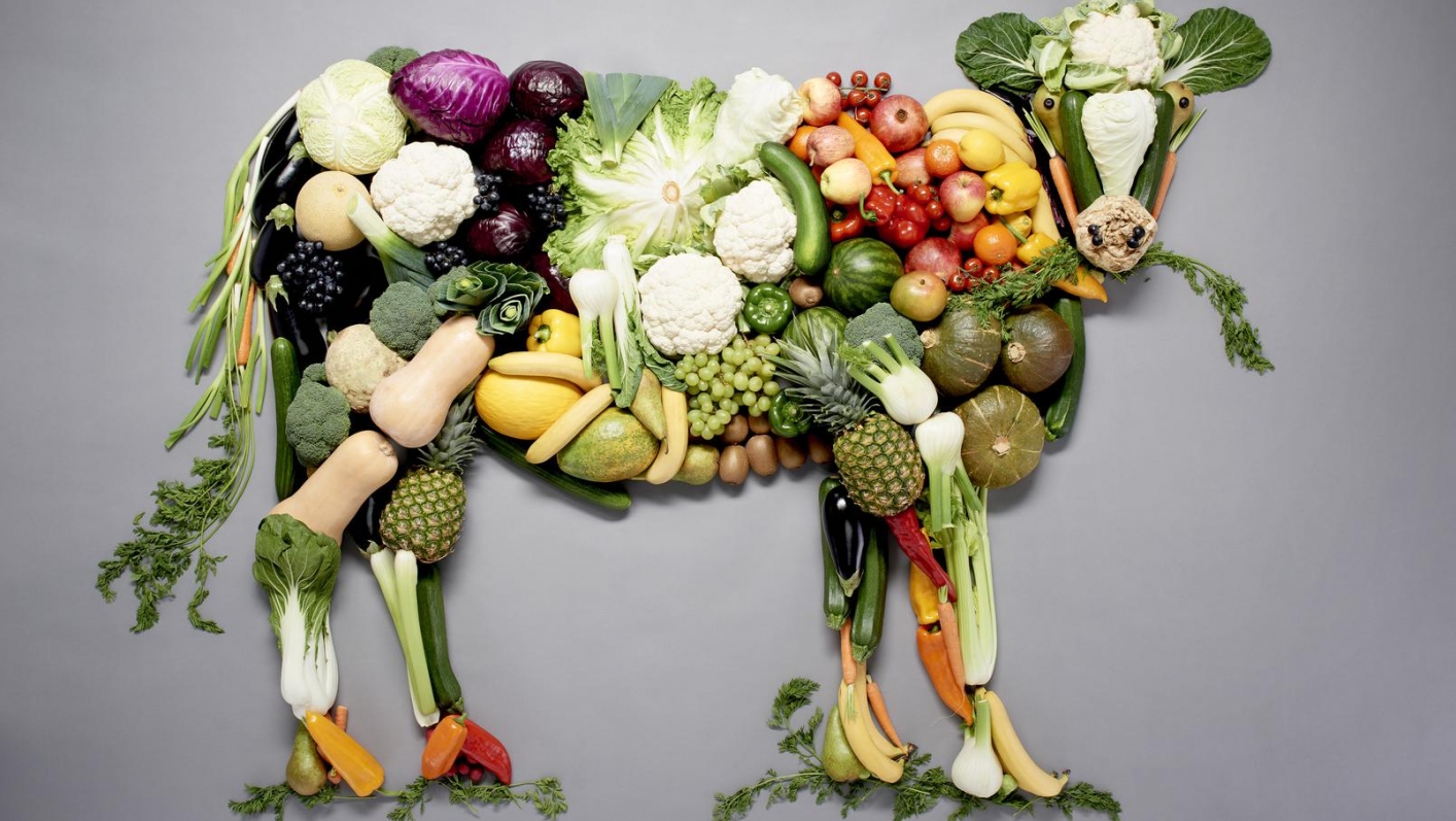 stier vormgegeven met groenten