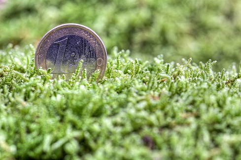 illustratie van een een euro die door het gras rolt 